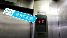 温州文化商品市场的西子奥的斯货梯