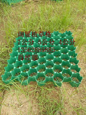 温州5公分人行道植草格厂家2018全新产品价格公道阔展阔展