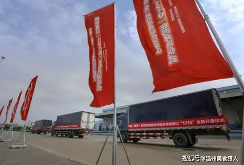 你好,我是温州