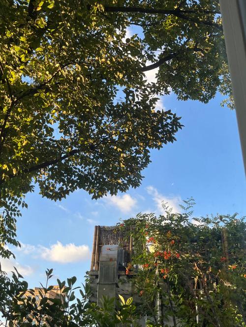 温州游玩